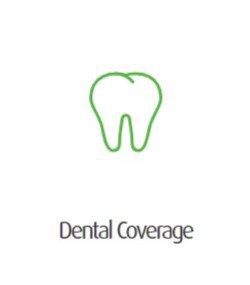 Dental Coverage